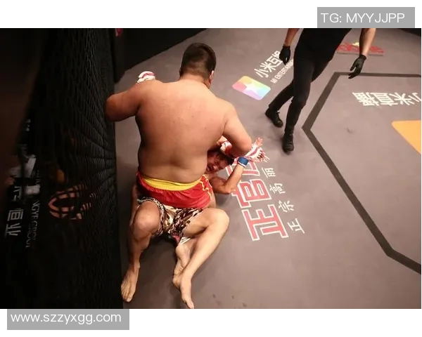 敖日格乐与金在勋的巅峰对决谁将成为拳坛新王者